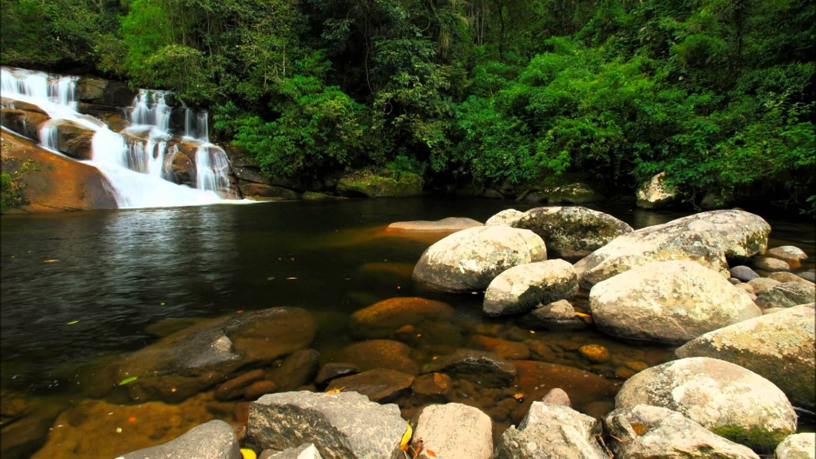 Cachoeira Pedra Branca